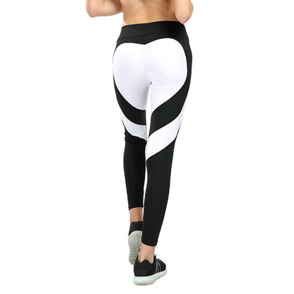 High Waist Sculpting Active Leggings for Women