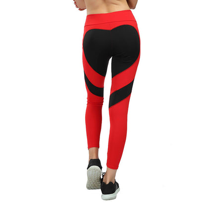 High Waist Sculpting Active Leggings for Women