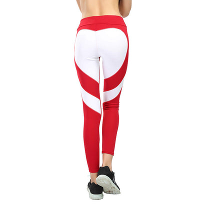 High Waist Sculpting Active Leggings for Women