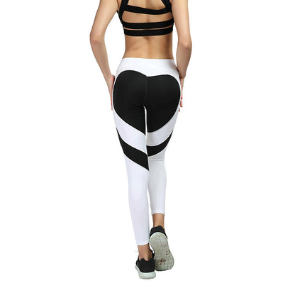High Waist Sculpting Active Leggings for Women